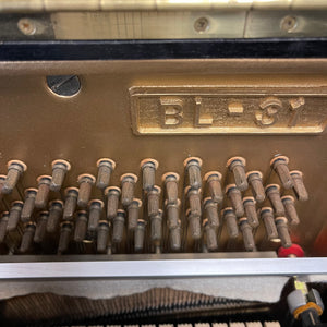 Kawai BL-31 (49'')