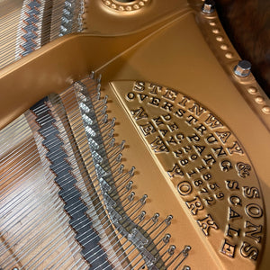 Steinway & Sons Model B (6'10.5')