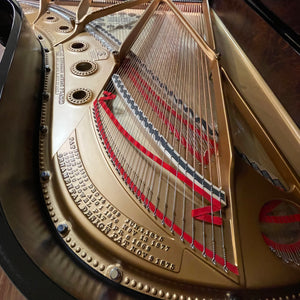 Steinway & Sons Model B (6'10.5')