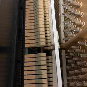 Kawai BL-31 (49'')