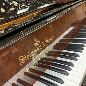Steinway & Sons Model B (6'10.5')