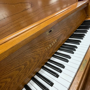 Yamaha P22 (45")