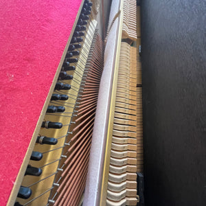 Yamaha U10BL (48'')