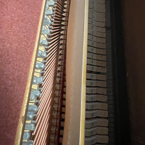 Kohler & Campbell SKV-430 (44'')