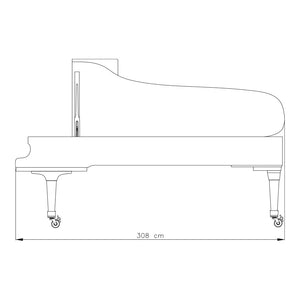 FAZIOLI F308 (10'3")