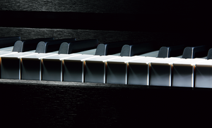 CASIO Celviano Grand Hybrid GP-310BK