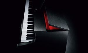 CASIO Celviano Grand Hybrid GP-310BK
