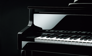 Casio Hybrid Piano Northwest Pianos.