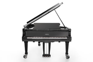 FAZIOLI Silver F228