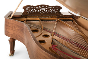 FAZIOLI Walnut Strauss