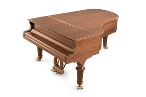 FAZIOLI Walnut Strauss